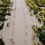 Keller アパート ザントフォールト